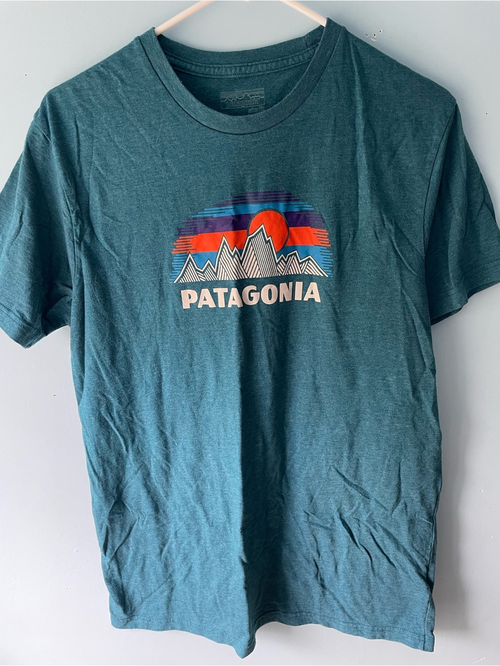 Patagonia Teal Short-Sleeve Graphic Mountain Tee